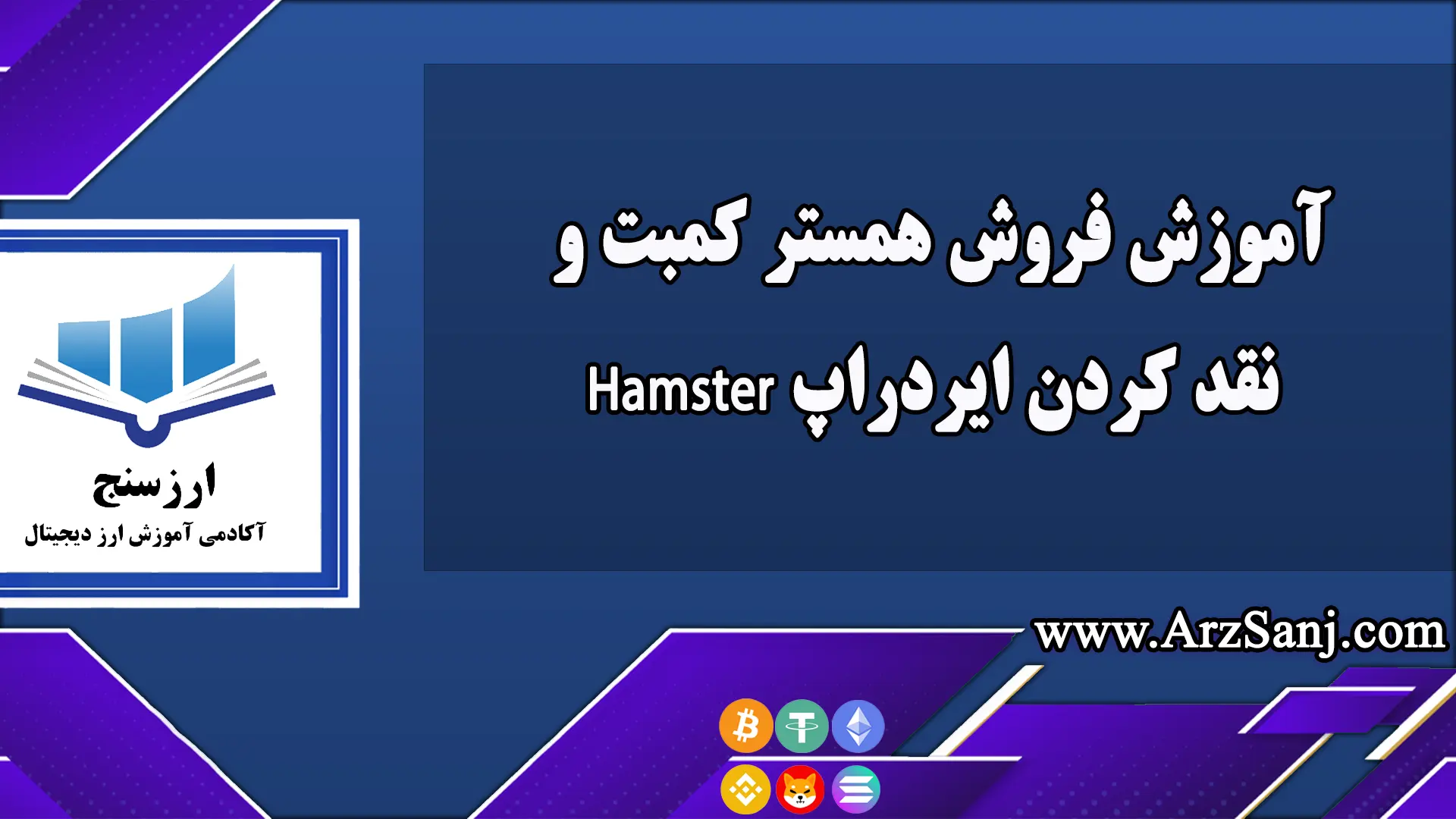  آموزش فروش همستر کمبت و نقد کردن ایردراپ Hamster